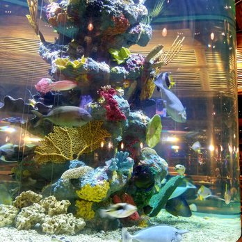 Uncle Buck's Fishbowl & Grill - Fish tank in the center of the dining room - American Near Me - Memphis, Tennessee