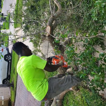 Briscoe Brothers Lawn Care - did a small tree job today - Lawn Services Near Me Briscoe Brothers Lawn Care - did a small tree job today - Lawn Services Near Me