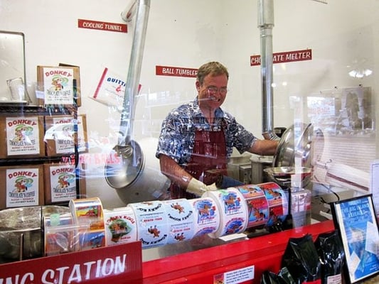 The Original Donkey Ball Store by null