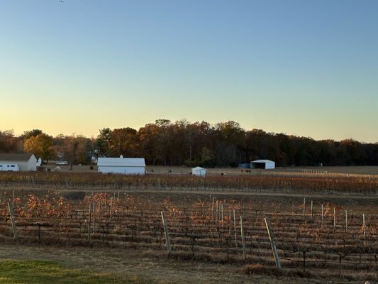 Sharrott Winery by null