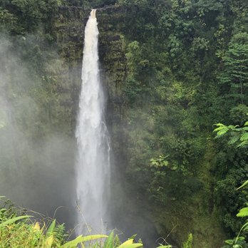 Akaka Falls State Park - Parks Near Me - Honomu, Hawaii