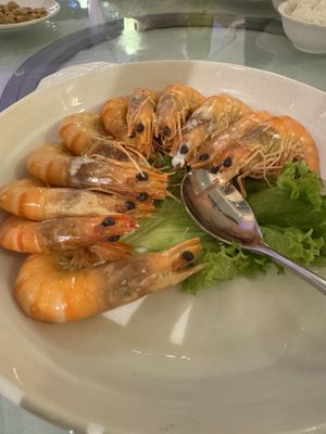 Long Beach @ DEMPSEY HILL by null