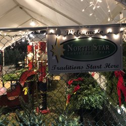 North Star Christmas Trees