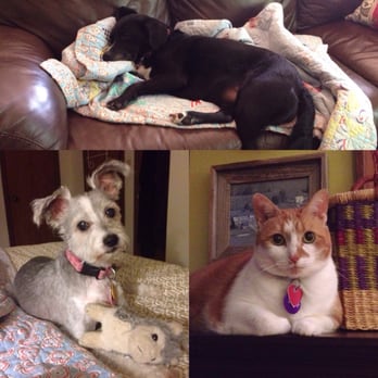 Weaverville Pet Pantry - Pet Stores Near Me - Weaverville, North Carolina