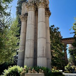 Palace Of Fine Arts - Palace of Fine Arts_Sanju-5