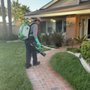 Creative Solutions Pest Defense