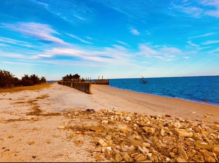 Thompsons Beach Image