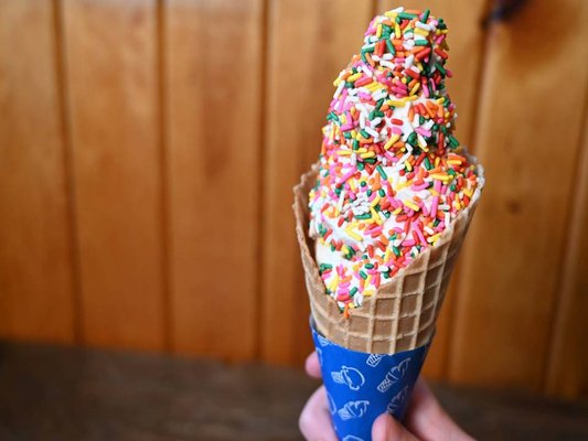 The Summer House by null