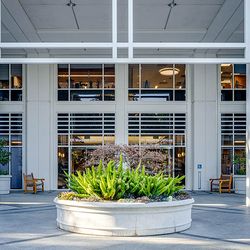 Ethan Harris DMD - Rock 'N' Roll Dental - Entry into our new dental office in San Ramon, CA