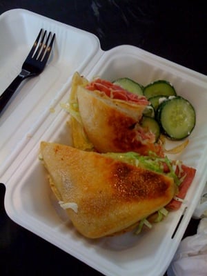 The Sentinel by null