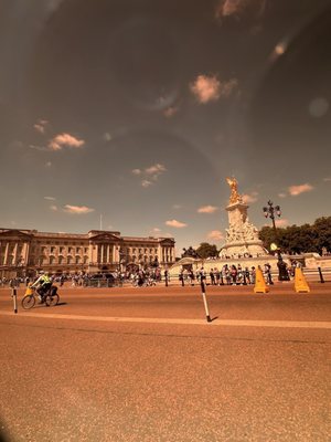 Buckingham Palace by null