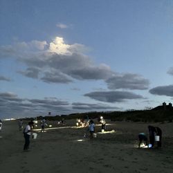 Ghost Crab Quest