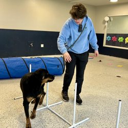 Green Acres Pet Resort - New daycare room at Green Acres Pet Resort is perfect for enrichment activities, small group play, and special events