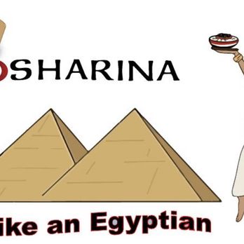 Koosharina - Egyptian Near Me - Kansas City, Missouri Koosharina - Egyptian Near Me - Kansas City, Missouri
