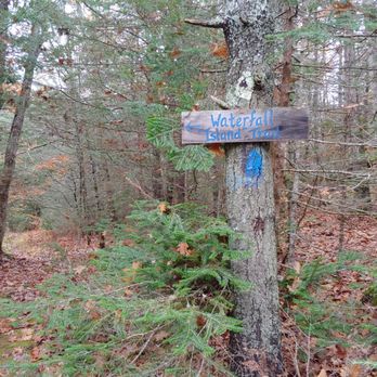 Bijhouwer Forest - Hiking Near Me - Phippsburg, Maine