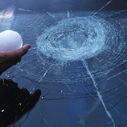 Speedy Autoglass
