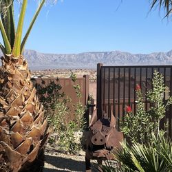 Kokopelli Landscaping
