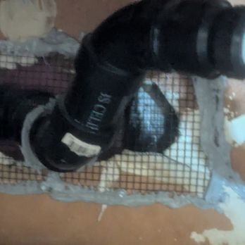 Rodent Free - Pest Control Near Me Rodent Free - Pest Control Near Me