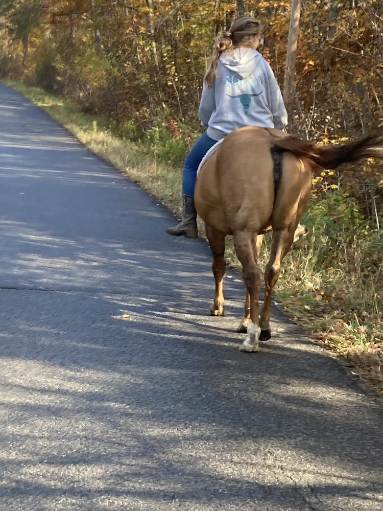 E G Lessons and Training - equestrian in Solon, ME