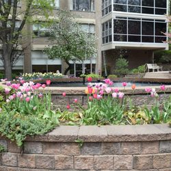 Margaret Tietz Nursing & Rehabilitation Center - Welcome to our beautiful Garden.