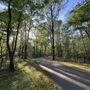 Photo of Wannamaker North Trail