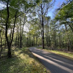 Wannamaker North Trail