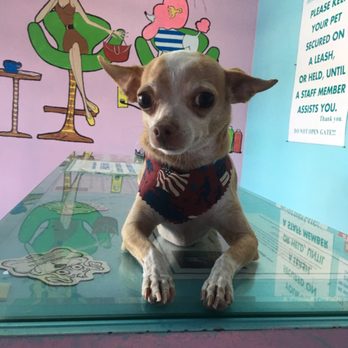 groomingdales coupons