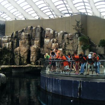 Biodôme de Montréal - Aquariums Near Me - Montreal, Quebec Biodôme de Montréal - Aquariums Near Me - Montreal, Quebec