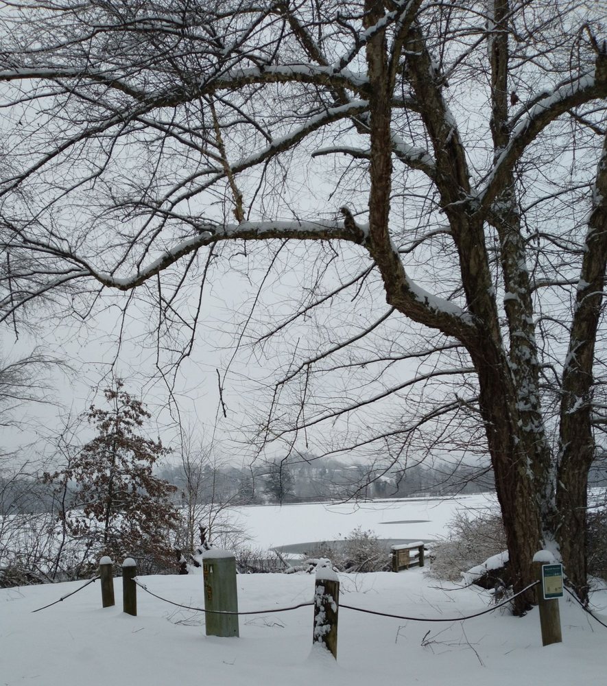 ROLLINS LAKE WILDLIFE MANAGEMENT AREA Updated September 2024 36