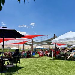 Restoration Vineyards