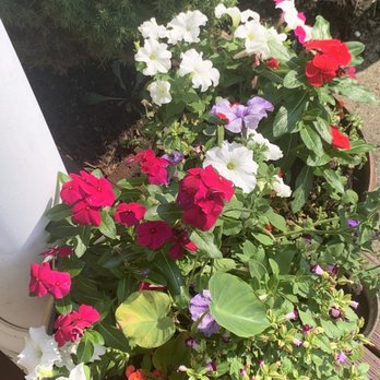 Henkel's Greenhouse - Nurseries & Gardening Near Me - Turtle Creek, Pennsylvania