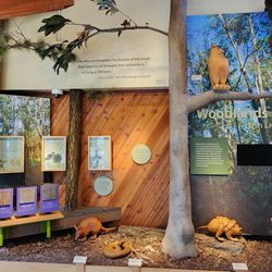William M. Colmer Visitor Center