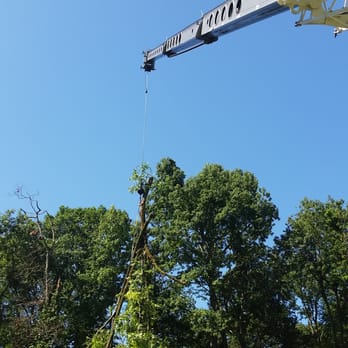 Scurria Tree Experts - Tree Services Near Me - Atco, New Jersey Scurria Tree Experts - Tree Services Near Me - Atco, New Jersey