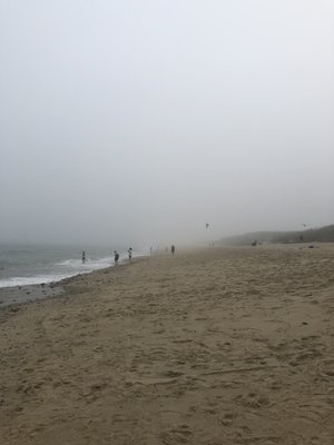 Coast Guard Beach by null