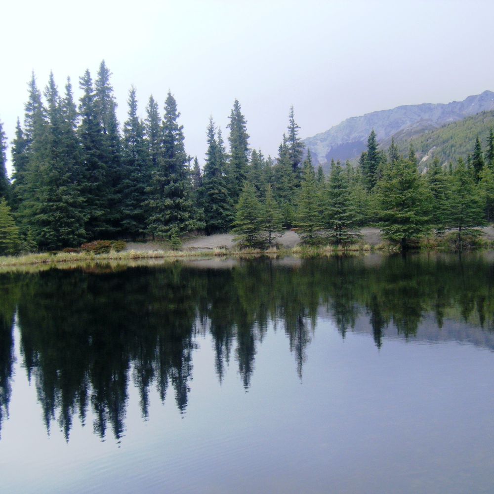 Denali National Park and Preserve - Triple Lakes Trail - Parks Near Me