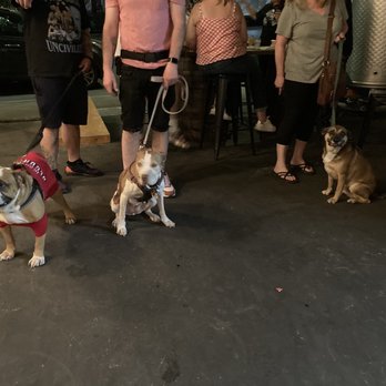 Finback Brewery - Bisou, Penny and Mikey - Breweries Near Me - Ridgewood, New York