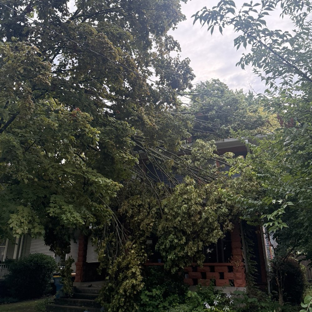 Extreme Tree Care - Tree that fell from the storm on my house. - Tree Services Near Me - Indianapolis, Indiana