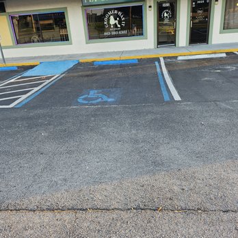 Transfurmed Paws - Pet Groomers Near Me - Winter Haven, Florida Transfurmed Paws - Pet Groomers Near Me - Winter Haven, Florida