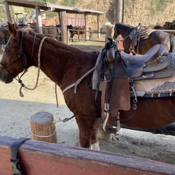 Sunset Ranch Hollywood Stables - Horseback Riding Near Me - Los Angeles, California Sunset Ranch Hollywood Stables - Horseback Riding Near Me - Los Angeles, California