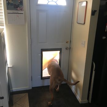 On The Level construction - Interior back patio door with x-large dog door. - Handyman Near Me On The Level construction - Interior back patio door with x-large dog door. - Handyman Near Me