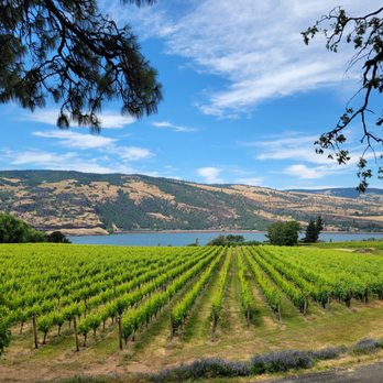 Garnier Vineyards - a view of a vineyard with a lake in the background - Wineries Near Me - Mosier, Oregon Garnier Vineyards - a view of a vineyard with a lake in the background - Wineries Near Me - Mosier, Oregon