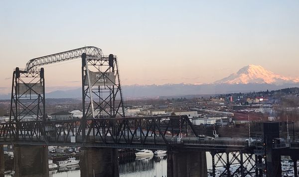 STINK Cheese-Meat and El Tufo Wine Bar by null