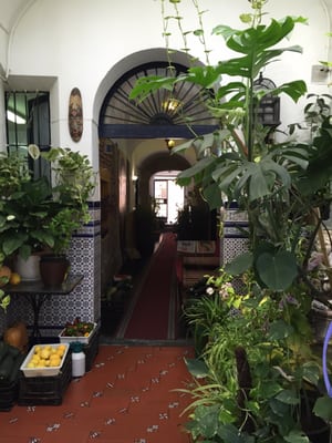 Tabula Calda by null