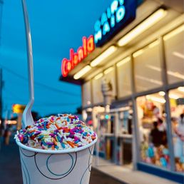 a cup of ice cream with sprinkles a cup of ice cream with sprinkles