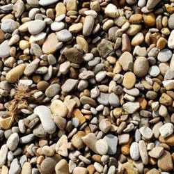 Mulch & More - Best seller 3/4"x1"1/2