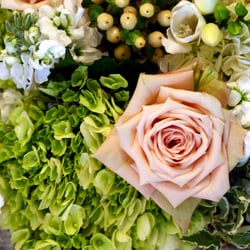 Flowers by Colleen