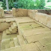 Site Gallo-romain de Villards-d'héria