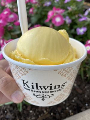 Kilwins Ice Cream - Chocolate - Fudge by null