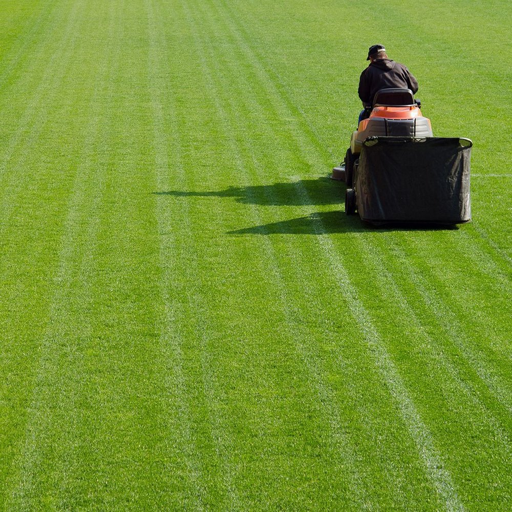 CASTILLO LAWN CARE & MAINTENANCE Lenoir, North Carolina Lawn