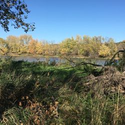 Upper Sioux Agency State Park - Minnesota River scenes.